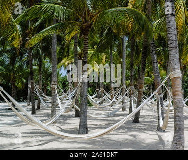 Playa del Carmen, Quintana Roo, Mexiko - 3. Mai 2005: Leere Hängematten hängen von Kokospalmen Stockfoto