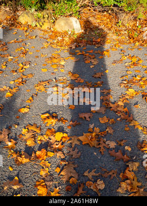 Die Person, die Schatten auf den Herbst Boden Stockfoto
