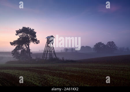 Hirsch Jagd Turm auf einem Feld im Herbst in der Morgendämmerung. Stockfoto