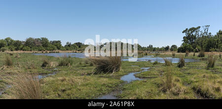 Die Sümpfe des Okavango Delta im Sommer Moremi Game Reserve Okavango Delta Botswana Stockfoto