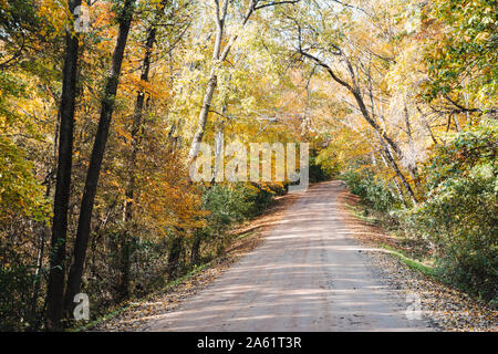 Schmutz der Straße von Bäumen mit fallen Blätter und Blätter im Herbst umgeben. In Scandia, Minnesota genommen Stockfoto