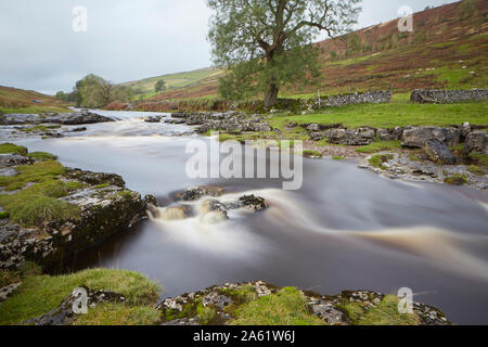 River Wharfe, Langstrothdale, Deepdale, Yorkshire Dales National Park, im oberen Bereich mit Wharfedale neben der Dales weg. Stockfoto