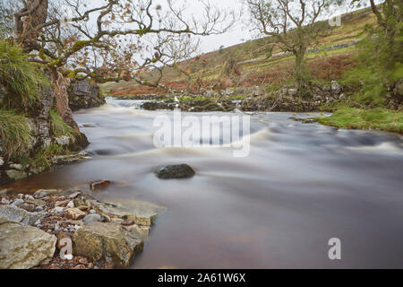 River Wharfe, Langstrothdale, Deepdale, Yorkshire Dales National Park, im oberen Bereich mit Wharfedale neben der Dales weg. Stockfoto