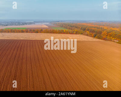 Luftaufnahme von Herbst Feld Stockfoto