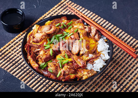 Close-up Oyakodon, Japanisch Huhn und Ei Schüssel Reis auf einer konkreten Tabelle mit Sojasoße Stockfoto