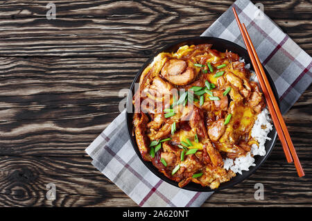 Oyakodon, Omelette mit gebratenem Hühnerfleisch Geschmortes in Sauce mit Zwiebeln, Japanische Huhn und Ei Schüssel Reis auf einem urigen Tabelle, Ansicht von oben, flatlay Stockfoto