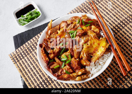 Oyakodon, Omelette mit gebratenem Hühnerfleisch Geschmortes in Sauce mit Zwiebeln, Japanische Huhn und Ei Schüssel Reis auf einem urigen Tabelle, Ansicht von oben, close-up Stockfoto