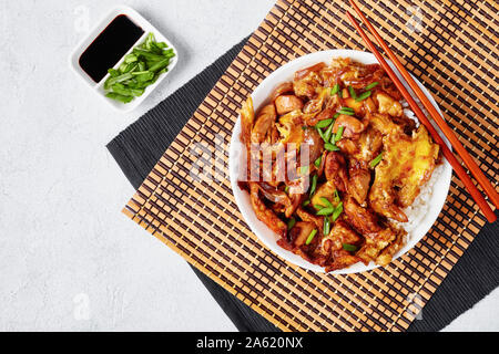 Oyakodon, Omelette mit gebratenem Hühnerfleisch Geschmortes in Sauce mit Zwiebeln, Japanische Huhn und Ei Schüssel Reis auf einer konkreten Tabelle, Ansicht von oben, flatla Stockfoto