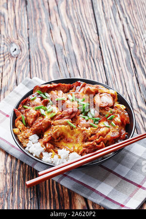 Oyakodon, Omelette mit gebratenem Hühnerfleisch Geschmortes in Sauce mit Zwiebeln, Japanische Huhn und Ei Schüssel Reis auf einem rustikalen Tisch, vertikale Ansicht von oben Stockfoto