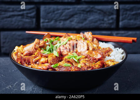 Close-up Oyakodon, Omelette mit gebratenen Huhn ohne Knochen Oberschenkel geschmort in Sauce mit Zwiebeln, Japanische Huhn und Ei Schüssel Reis mit einer Mauer an Stockfoto