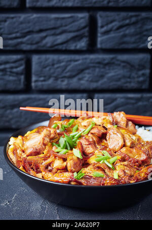 Oyakodon, Omelette mit gebratenem Hühnerfleisch Geschmortes in Sauce mit Zwiebeln, Japanische Huhn und Ei Schüssel Reis mit einer Mauer im Hintergrund, vertica Stockfoto