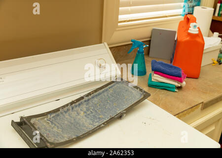 Dirty Fusselsieb aus Wäschetrockner Stockfoto