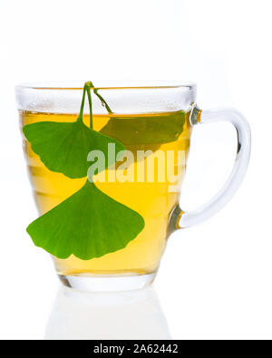 Hot ginkgo Tee (Ginkgo biloba) auf weißem Hintergrund - Vorderansicht Stockfoto