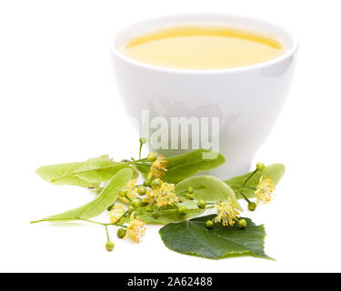 Lindenblüten Tee mit frischen Blumen auf weißem Hintergrund Stockfoto