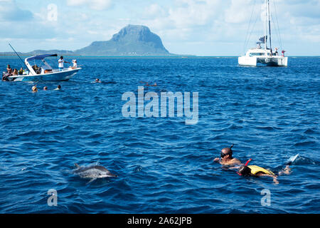 Mauritius Delphine - Touristen das Schnorcheln und Schwimmen mit Delfinen im Indischen Ozean, Le Morne, Mauritius Stockfoto