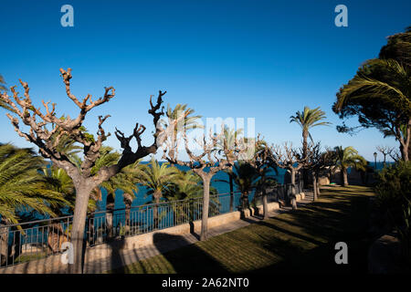 Die Gärten von Peniscola Burg mit Blick auf das Meer Stockfoto