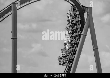 Orlando, Florida. Juli 01, 2019. Tolle Aussicht von Menschen Spaß Mako Achterbahn in Seaworld Stockfoto