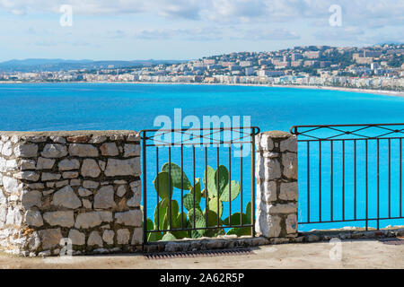 Sonnenlicht Streiks ein mediterranes Kaktus mit der Blauen Bucht der Engel, Strand, Meer und Stadt Nizza, Frankreich von einem Aussichtspunkt auf Castle Hill Park. Stockfoto