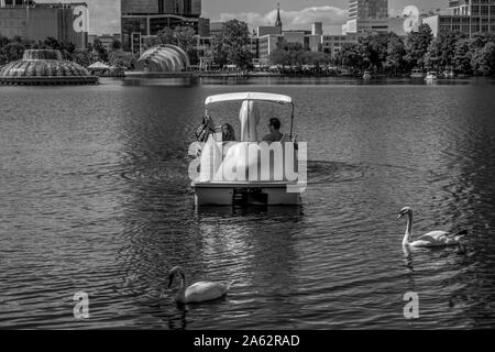 Orlando, Florida. Oktober 12, 2019. Swan Boote und Swan Lake Eola Park in der Innenstadt Stockfoto