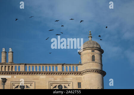 Die Krähen kreisen den Turm von wollaton Hall in Nottingham. Stockfoto