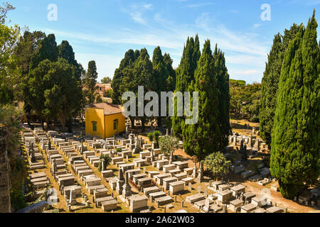 Erhöhten Blick auf den Alten Jüdischen Friedhof in der berühmten Stadt Pisa mit alten Gräber unter grünen Bäumen im Sommer, Toskana, Italien Stockfoto