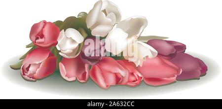 Strauß Tulpen Stock Vektor