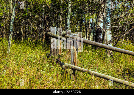 Urban Trail im Herbst Stockfoto