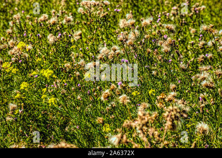 Urban Trail im Herbst Stockfoto