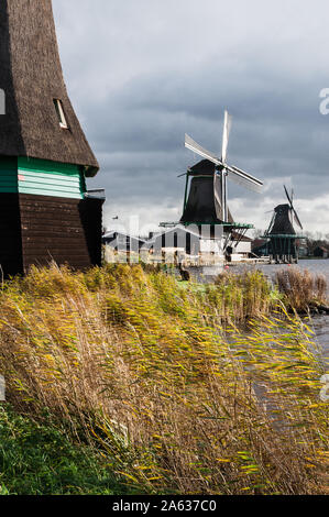 Windmühlen in Zaandam Zaanse Schans Dorf in der Nähe von Amsterdam, Niederlande Stockfoto