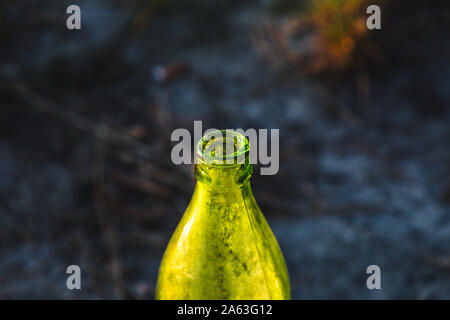 Grüne schmutzigen Glas Flasche close-up an einem sonnigen Tag in der Natur. Stockfoto