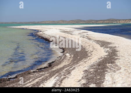 Herrliche Küsten - Natur pur, Australien Francois Peron National Park Stockfoto