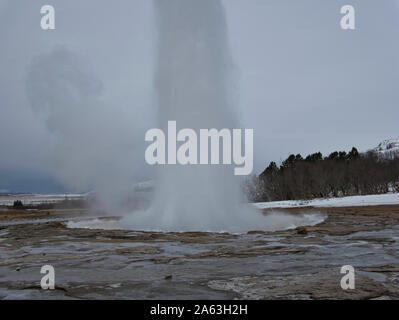 Ein Ausbruch aus den Großen Geysir in Island mit einem sehr hohen Brunnen Stockfoto