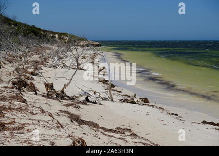 Herrliche Küsten - Natur pur, Australien Imker Naturschutzgebiet Stockfoto