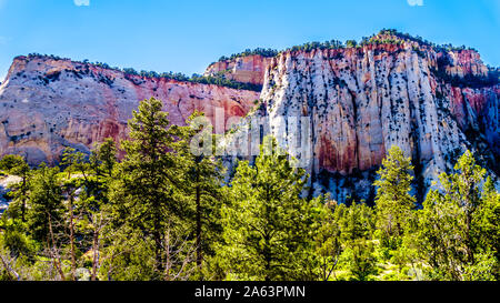 Die bunten Gipfel der Sandstein Berge und Hochebenen entlang des Zion-Mt. Carmel Highway am Ostrand des Zion National Park, Utah, United States Stockfoto