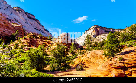 Die weißen Gipfel der Sandstein Berge und Hochebenen entlang des Zion-Mt. Carmel Highway am Ostrand des Zion National Park, Utah, United States Stockfoto