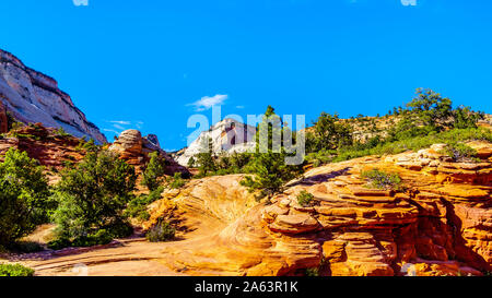 Die weißen Gipfel der Sandstein Berge und Hochebenen entlang des Zion-Mt. Carmel Highway am Ostrand des Zion National Park, Utah, United States Stockfoto