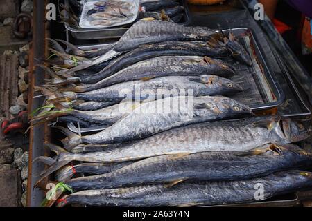 Maeklong railway street Fischmarkt von Bangkok Thailand. Straße marine Markt, wo der Zug fährt täglich. Verkauf von frischem Fisch. Frisch gefangenen Fisch. Asiatische Stockfoto