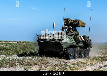 191018-N-NB 544-1106 7. US-Flotte VERANTWORTUNGSBEREICH (Okt. 18, 2019) US-Marines, auf den 11 Marine Expeditionary Unit, betreiben ein leicht gepanzertes Fahrzeug während der Übung KAMANDAG 3. USS John Murtha (LPD S. 26) wird die Teilnahme an KAMANDAG 3, eine philippinische-geführten bilateralen Übung, mit Beteiligung von Japan, die Terrorismusbekämpfung zu erhöhen, der humanitären Hilfe und Katastrophenhilfe Fähigkeiten durch militärische Austausch, Partnerschaft und die Fähigkeit, schnell auf Krisen in der gesamten indopazifischen Region reagieren zu stärken. KAMANDAG ist ein Akronym für die Philippinischen phr Stockfoto