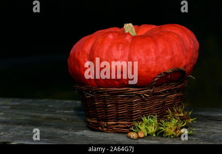 Herbst noch Leben mit einem orange Kürbis in einem Weidenkorb und Haselnüsse auf einem Tisch vor einem dunklen Hintergrund mit offenen Raum Stockfoto