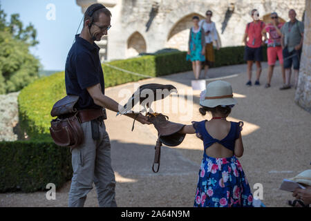 Milandes, Frankreich - 4 September, 2018: die Touristen sehen das Zeigen der Greifvögel im Chateau Les Milandes, eine Burg in der Dordogne, Aquitaine, F Stockfoto