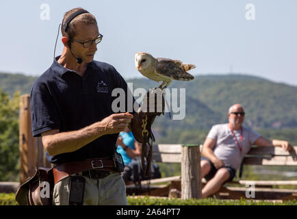 Milandes, Frankreich - 4 September, 2018: die Touristen sehen das Zeigen der Greifvögel im Chateau Les Milandes, eine Burg in der Dordogne, Aquitaine, F Stockfoto
