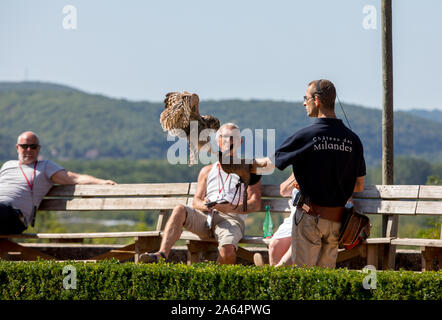 Milandes, Frankreich - 4 September, 2018: die Touristen sehen das Zeigen der Greifvögel im Chateau Les Milandes, eine Burg in der Dordogne, Aquitaine, F Stockfoto