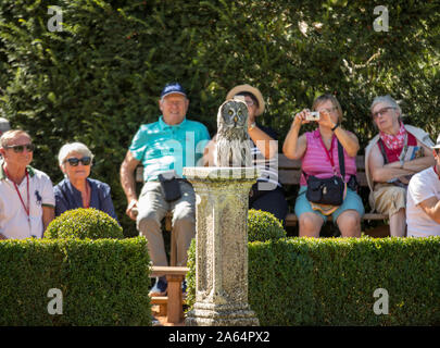 Milandes, Frankreich - 4 September, 2018: die Touristen sehen das Zeigen der Greifvögel im Chateau Les Milandes, eine Burg in der Dordogne, Aquitaine, F Stockfoto
