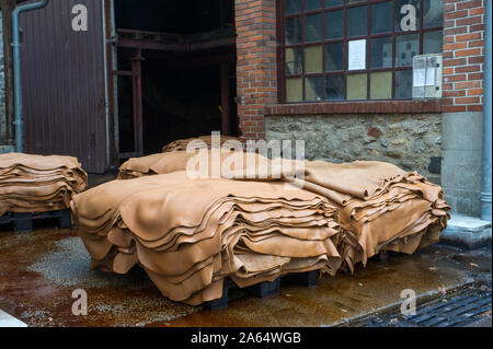 Bellac (Central Western Frankreich). Tannerie Gal, Gerberei, spezialisiert auf die pflanzliche Gerben von Häuten und Fellen von Rindern und Kälbern und Skins. Palette, Haufen von Häuten behandelt Stockfoto