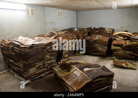 Bellac (Central Western Frankreich). Tannerie Gal, Gerberei, spezialisiert auf die pflanzliche Gerben von Häuten und Fellen von Rindern und Kälbern und Skins. Haare Leder vor dem Bräunen. S Stockfoto