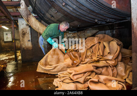 Bellac (Central Western Frankreich). Tannerie Gal, Gerberei, spezialisiert auf die pflanzliche Gerben von Häuten und Fellen von Rindern und Kälbern und Skins. Stapeln von versteckt sich unter der dr Stockfoto