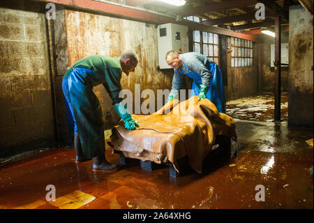 Bellac (Central Western Frankreich). Tannerie Gal, Gerberei, spezialisiert auf die pflanzliche Gerben von Häuten und Fellen von Rindern und Kälbern und Skins. Blendet die Heißluft-Drums, Stockfoto