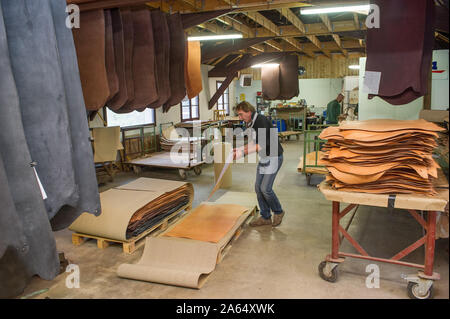 Bellac (Central Western Frankreich). Tannerie Gal, Gerberei, spezialisiert auf die pflanzliche Gerben von Häuten und Fellen von Rindern und Kälbern und Skins. Sortieren und Stapeln von Häuten, Stockfoto