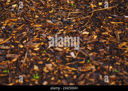 Nahaufnahme Hintergrund Abbildung mit Wald bedeckten Pfad im Zentrum von REykjavik, nass im Herbst Stockfoto