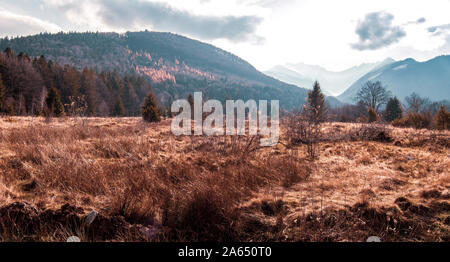 In den späten Herbst Landschaft in Fagaras Gebirge mit Rost-farbigen Blätter und Gras und schneebedeckten Bergen im Hintergrund. Stockfoto